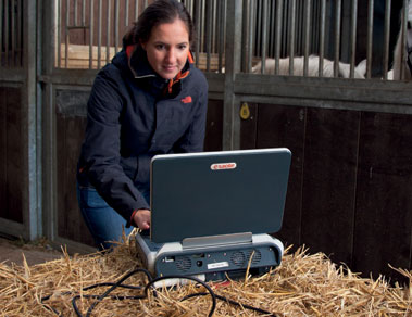 VET Ultrasound