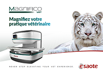 Brochure – Magnifico VET - FR [PDF - 2Mb]