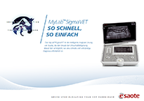 MyLab<sup>™</sup>SigmaVET - Leaflet [PDF - 863 Kb]